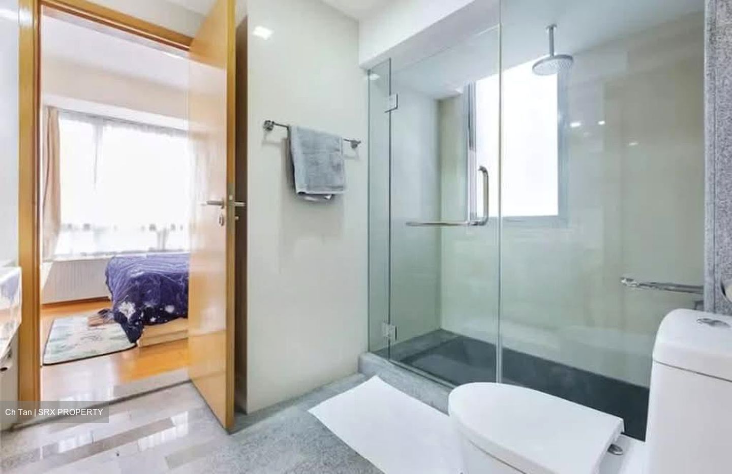 8 @ Mount Sophia (D9), Condominium #569999681